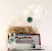 MycoMate Underground Magic Truffles Kit