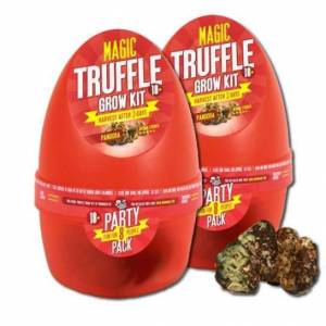 2X Growkit Pandora  Magic Truffle – BUY 1 GET 1 FREE
