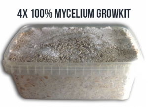 4x 100% Mycelium Kit - 1200cc