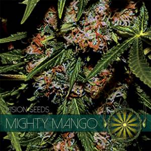 Mighty Mango Bud 5 seeds