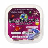 Mushrocks Magic Truffles 20 gram