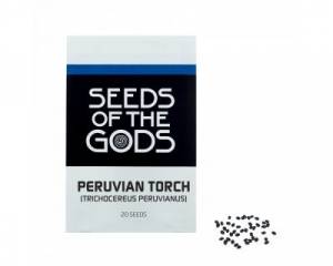 Peruvian torch (Echinopsis peruviana) seeds