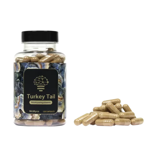 Turkey Tail extract capsules - 120 caps