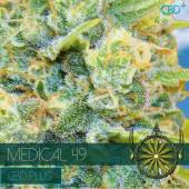 Medical 49 (CBD+) 3 seeds