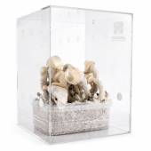 Mondotub Mushroom Container