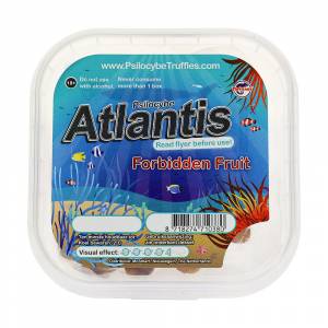 Atlantis 20 Gram