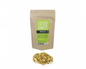 White lily (Nymphaea alba)