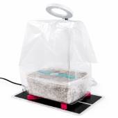 Mushroom Grow Light - Mondo Europe
