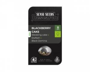 Blackberry Cake (Sensi Research) feminized