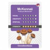 Mckennaii Magic Mushroom Grow Kit Small 250cc