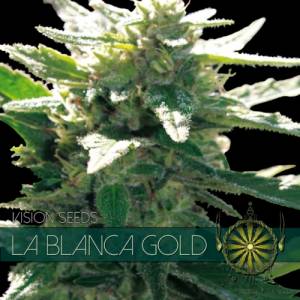 La Blanca Gold 3 seeds