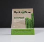 San Pedro Bridgesii Cactus Seeds 100 seeds