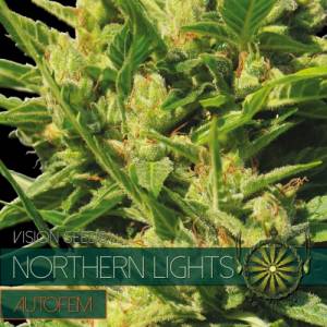 Auto Northern Lights 5 seeds