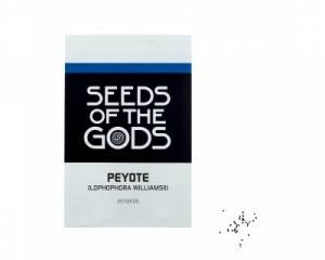 Peyote (Lophophora williamsii) seeds